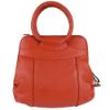 Picture of Hammonds Flycatcher Genuine NDM Leather Orange Women Handbag|WB3004_OR