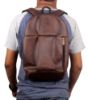 Picture of The Clownfish Skylar Series 13 liters Casual Backpack- Brown