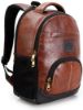 Picture of The Clownfish Leatherette 25 Ltr Brown Laptop Backpack