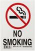 Picture of Brady® No Smoking Sign Part# - 88427