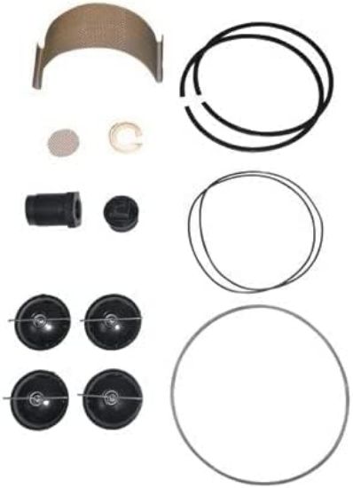 Picture of Fill-Rite Rebuilt Kit For 5200 Series Pumps Part# - 5200Ktf1828