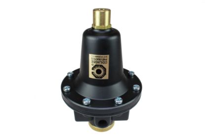 Picture of Coilhose Pneumatics 1" Tamperproof Regulator Part# - 8808K