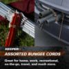 Picture of Keeper Bungee Cord Multi Pack/18 Part# - 6317