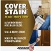 Picture of Zinsser Hi-Hide Cover-Stain Sealer Part# - 3551