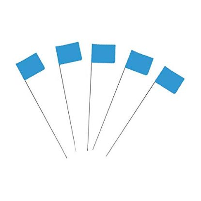 Picture of C.H. Hanson® Pk 100 21" Blue-Glo Stake Flag Part# - 15074