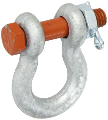 Picture of Campbell® Anchor Shackle - Bolt Type 3/8" - H/G - Alloy Part# - 5390695