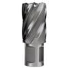 Picture of Evolution Cyclone Cutter 1"X2" Part# - Cc100L