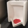 Picture of Hospeco Screen Vinyl Urinal Ch Part# - Hos03901