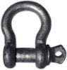 Picture of Peerless 1/2 Screw Pin Anchor Shackle Part# - 8058505