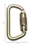 Picture of Werner 3/4" Steel Carabiner  3600 Lb. Gate Part# - A100301