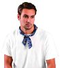 Picture of Occunomix Miracool Bandana Cowboyblue Part# - 940-Cbl