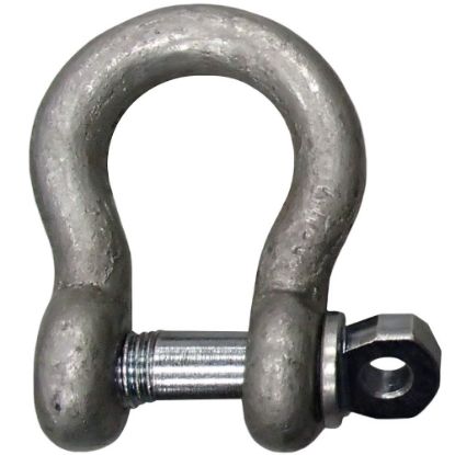 Picture of Campbell® 419 5/8" 3-1/4T Anchor Shackle W/Screwpin Part# - 5411035