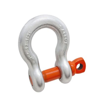 Picture of Campbell® Anchor Shackle - Screw Pin 3/4" - H/G - Alloy Part# - 5411295