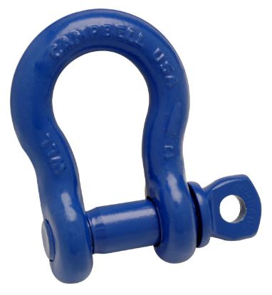 Picture of Campbell® Anchor Shackle - Screw Pin 7/8" - H/G - Alloy Part# - 5411495