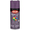 Picture of Krylon® Industrial Colormaxx Paint + Primer  Matte  Eggplant  12 Oz Part# - K05594007