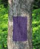 Picture of Rust-Oleum® Specialty Spray Paint  No Hunting Purple 12Oz Part# - 270970