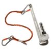 Picture of Ergodyne Triple-Locking Dual Carabiner W/ Swivel - 25Lbs Part# - 19829