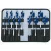 Picture of Bosch Power Tools Daredevil 13Pc Spade Bitset/Pch Part# - Dsb5013P