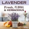 Picture of Mrs. Meyer'S Clean Day Mmcd Dishsoaprefill Lavender 48Floz/6Us. Part# - 347543