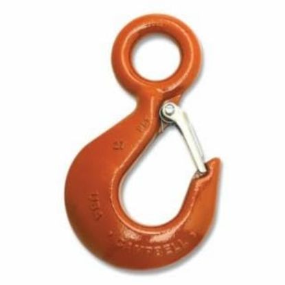 Picture of Campbell® Alloy Eye Hoist Hook W/Latch Pl #31 11T Part# - 3925115Pl