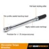 Picture of Gearwrench® Wr Trq Micro 3/8Dr 30-250 In Part# - 85061M