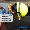 Picture of Sellstrom® Reusable Banded Ear Plugs 25Db Nrr Hi-Viz Gr/Bl Part# - S23430