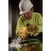 Picture of Dewalt® 20V Max 14G Swivel Headshear - Bare Part# - Dcs494B