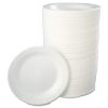 Picture of Dart® Container Corp. Dart Foam 10.25" Plates125/Pk  500/Ca Part# - 10Pwq