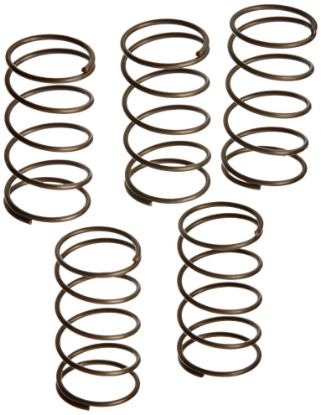 Picture of Ridgid® F71 Sprgs Part# - 38695