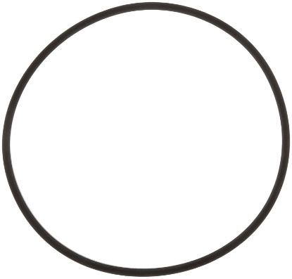 Picture of Fill-Rite Gasket Part# - 400F6924