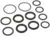 Picture of Ridgid® Plunger Seal Kit Part# - 47802