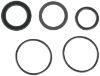 Picture of Ridgid® Plunger Seal Kit Part# - 47802