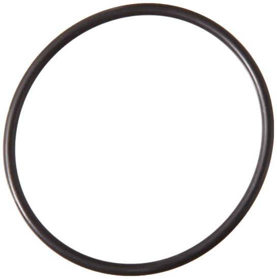 Picture of Ridgid® E10733 "O" Ring Part# - 96875