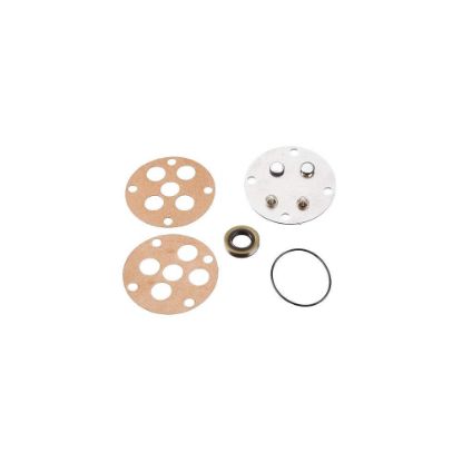 Picture of Ridgid® Mod Ml Pump Service Kit Part# - 33422