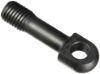 Picture of Ridgid® E83 206 Eyebolt Part# - 33615