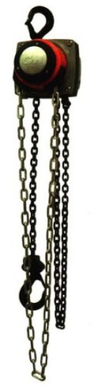 Picture of Cm Columbus Mckinnon Hurricane Hand Chain Hoist 2 Ton 8Ft Lift Part# - 5629