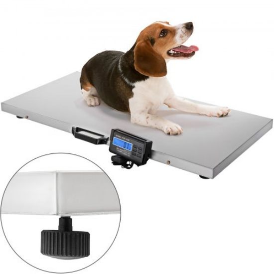 Picture of VEVOR 1100Lbs x 0.2Lbs Digital Livestock Scale Large Pet Vet Scale Stainless Steel Platform Electronic Postal Shipping Scale Heavy Duty Large Dog Hog Sheep Goat Pig Sheep Scale