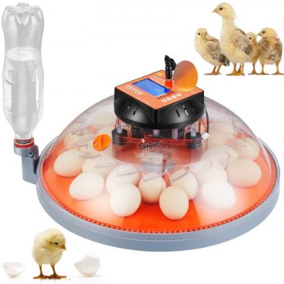 Picture of VEVOR Egg Incubator, Incubators for Hatching Eggs, Automatic Egg Turner with with Temperature and Humidity Control, 12 Eggs Poultry Hatcher with ABS Transparent Shell for Chicken, Duck, Quail