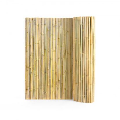 Picture of VEVOR Natural Rolled Bamboo Fence Bamboo Panel 6 ft H x 8 ft L x 0.75 in D.