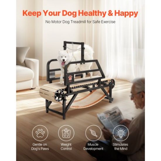 Picture of Dog Treadmill for Medium Dogs up to 220 lbs Indoor Pet Running Machine